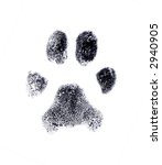 Dog fingerprint from my own pet
