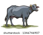 black buffalo stands on the... | Shutterstock .eps vector #1346746907