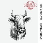 breeding cow. animal husbandry. ... | Shutterstock .eps vector #1699025431