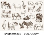 Farm Animals. Set Of Vector...