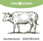black and white drawing of a cow | Shutterstock .eps vector #2065581641