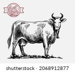 breeding cow. animal husbandry. ... | Shutterstock .eps vector #2068912877