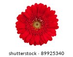 Large Red Flower With Petals Of ...