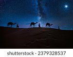 Christmas Jesus birth concept - Adoration of the Magi, Three Wise Men, Three Kings, and the Three biblical Magi with camel silhouettes journeying in sand dunes of desert follow Bethlehem star at night