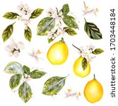 collection of vector lemon with ... | Shutterstock .eps vector #1703448184