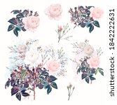 beautiful vector set of rose... | Shutterstock .eps vector #1842222631