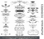 collection of vector... | Shutterstock .eps vector #313343021