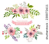 vector flowers set. colorful... | Shutterstock .eps vector #230072611