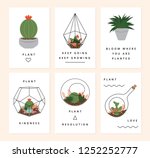 a set of terrarium plants cards.... | Shutterstock .eps vector #1252252777