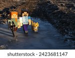 Small photo of NITRA, SK - JANUARY 8, 2024: LEGO Minecraft Alex with iron pickaxe, smiling Steve and pet friend Ocelot on a walk across icy surface in winter morning sunshine.