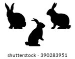 Rabbits  Vector Illustration