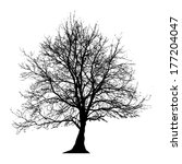 tree vector illustration. | Shutterstock .eps vector #177204047