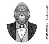 gorilla  monkey  ape frightful... | Shutterstock . vector #623179604