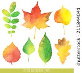 Vector Watercolor Autumn Leaves