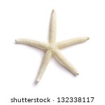 White Finger Starfish Isolated...