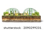 Front View On Greenhouses And A ...