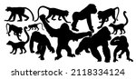 Monkey Collection Vector...