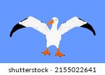 albatross vector illustration... | Shutterstock .eps vector #2155022641