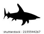 sand tiger shark vector... | Shutterstock .eps vector #2155544267