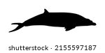 fin whale vector silhouette... | Shutterstock .eps vector #2155597187