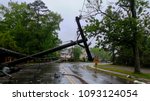 transformer on a electric poles and a tree laying across power lines over a road after Hurricane