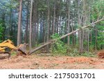 During the process of clearing land to build houses, trees are uprooted and deforestation occurs for new subdivision complex