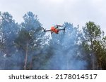 In ecological disaster follow a fire through the forest trees with a drone, the fire department uses an aerial camera