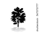 tree icon | Shutterstock .eps vector #567373777