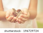 Sparrow Sitting In Children S...