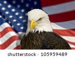 Bald Eagle And A Flag Free Stock Photo - Public Domain Pictures