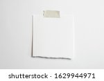 Blank torn polaroid photo frame with soft shadows and scotch tape isolated on white paper background as template for graphic designers presentations, portfolios etc.