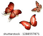 three color butterflies  ... | Shutterstock . vector #1288557871