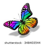 Color Butterfly   Isolated On...
