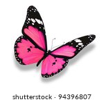 Pink Butterfly  Isolated On...