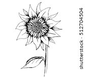 Sunflower Line Drawing Free Stock Photo - Public Domain Pictures