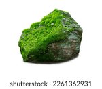 stone covered with moss isolated on white background