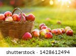 Apples In A Basket Outdoor....
