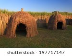 Typical African thatched huts in  Swaziland