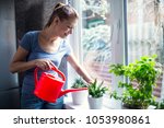 woman watering flowers at home... | Shutterstock . vector #1053980861
