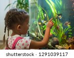little girl child looks at the... | Shutterstock . vector #1291039117