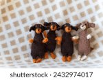 Small photo of group of bonded dogs and dachshund toy with yarn and knitting accessories