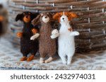 Small photo of group of bonded dogs jack russell and dachshund toy with yarn and knitting accessories