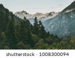 Coniferous Forest And Mountains ...