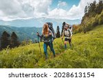 Family hiking in mountains travel adventure vacations group hikers couple with baby trekking outdoor healthy lifestyle eco tourism 