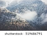 Winter Forest clouds Landscape aerial view trees background Travel serene scenery 