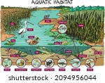 Aquatic Habitat   Pond  Living...