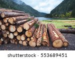 Wooden Logs Of Pine Woods In...