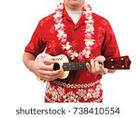 Hawaiian Ukulele Player