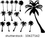 vector tropical palms and trees | Shutterstock .eps vector #10627162