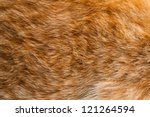 Ginger Fur Background